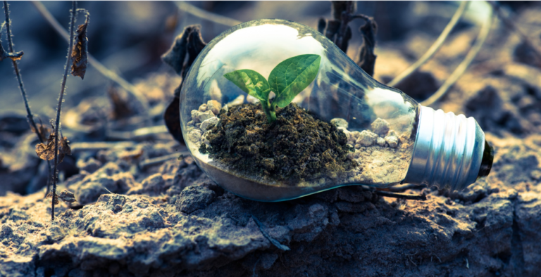 innovatie-en-groei-rene-herremans-merkrelaties